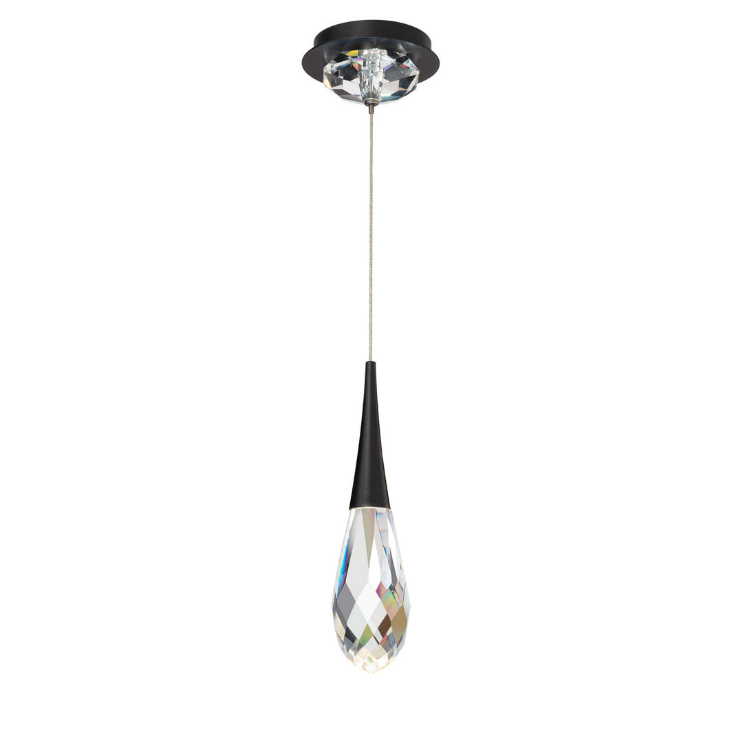 Schonbek Beyond  Hibiscus 13 Light Multi-Light Pendant Pendants Schonbek Beyond Black OPTIC CRYSTAL 