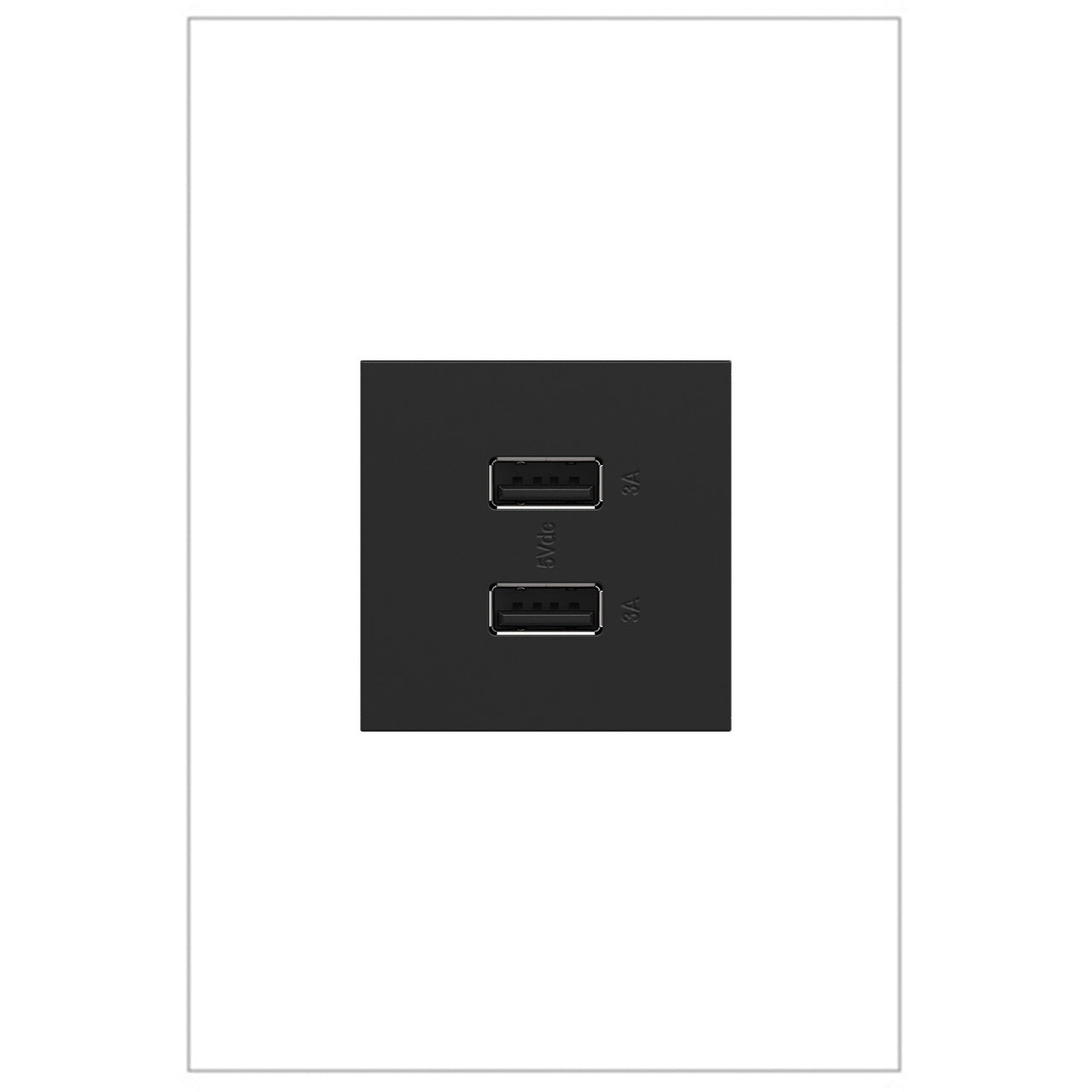 adorne Full-Size, A/A USB Outlet Lighting Controls Legrand Graphite  