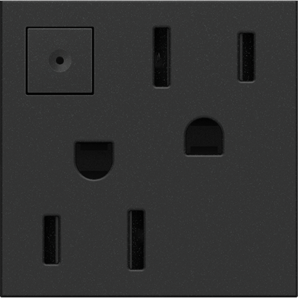 Legrand Energy-Saving On/Off Outlet, 15A Lighting Controls Legrand Graphite  