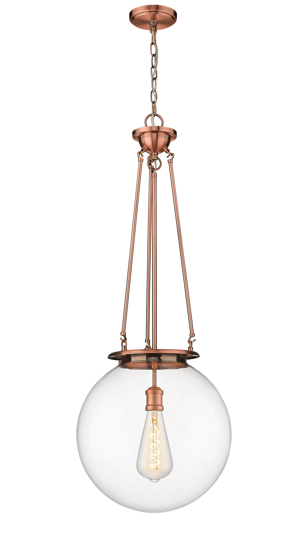 Innovations Lighting Beacon 16" Pendant - Antique Copper Pendants Innovations Lighting Clear ; Glass Type: Transparent  