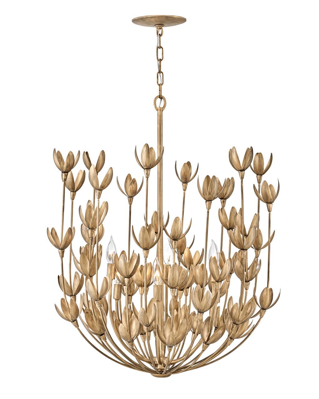 Hinkley Flora Chandelier