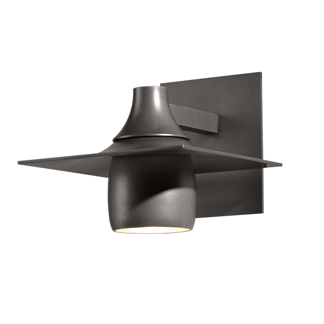 Hubbardton Forge Hood Dark Sky Outdoor Sconce Outdoor Wall Lights Hubbardton Forge Coastal Burnished Steel  