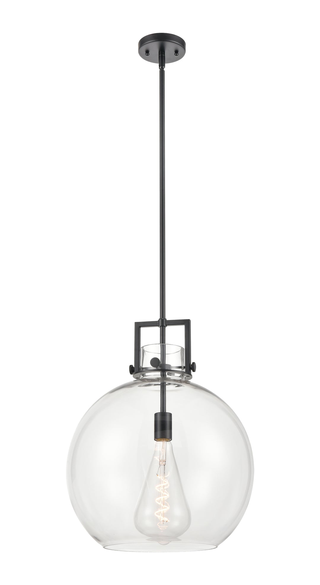 Innovations Lighting Newton Sphere 16" Pendant - Matte Black Pendants Innovations Lighting Clear ; Glass Type: Clear  