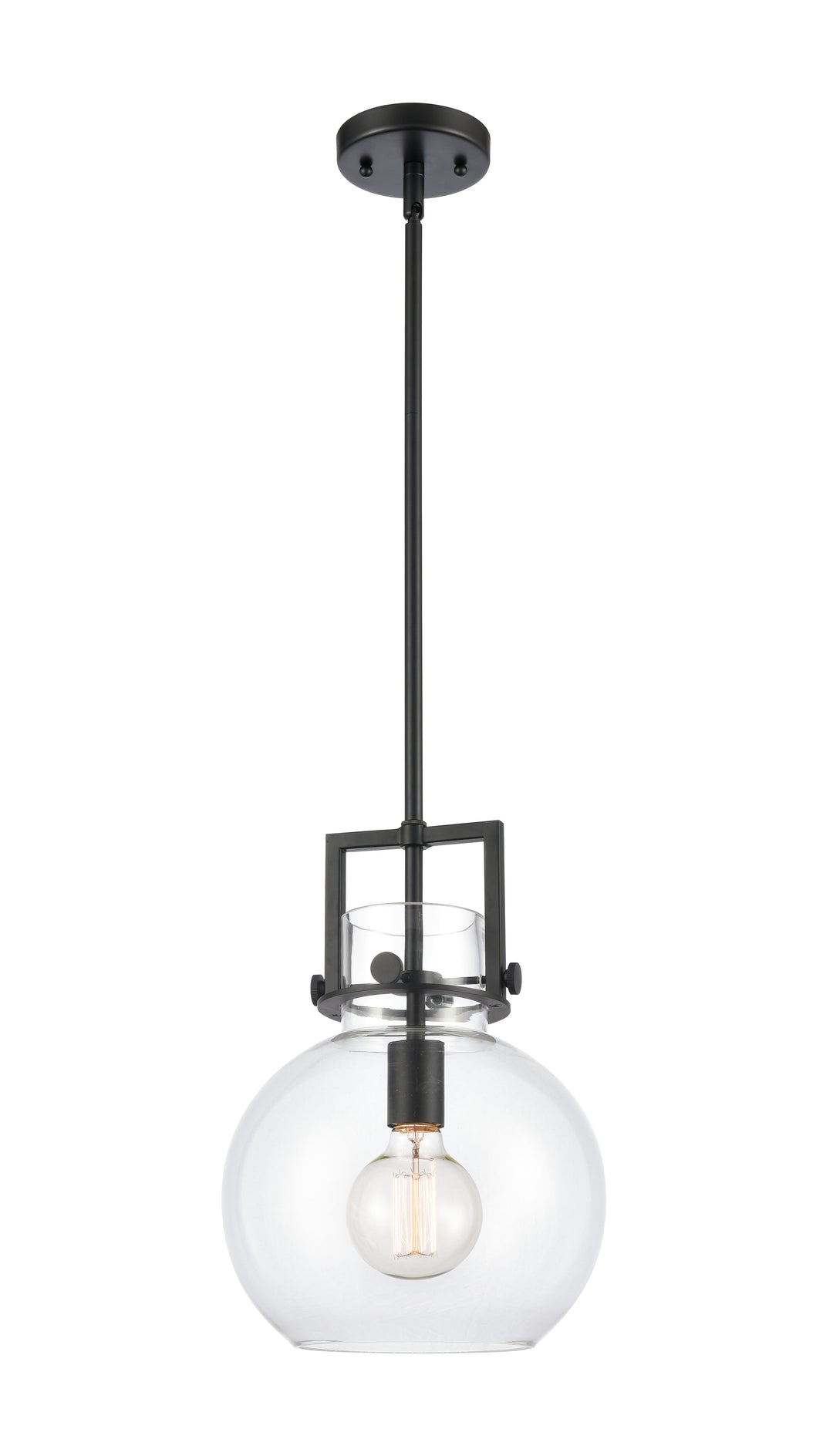 Innovations Lighting Newton Sphere 10" Mini Pendant - Matte Black Mini-Pendants Innovations Lighting Clear ; Glass Type: Clear  