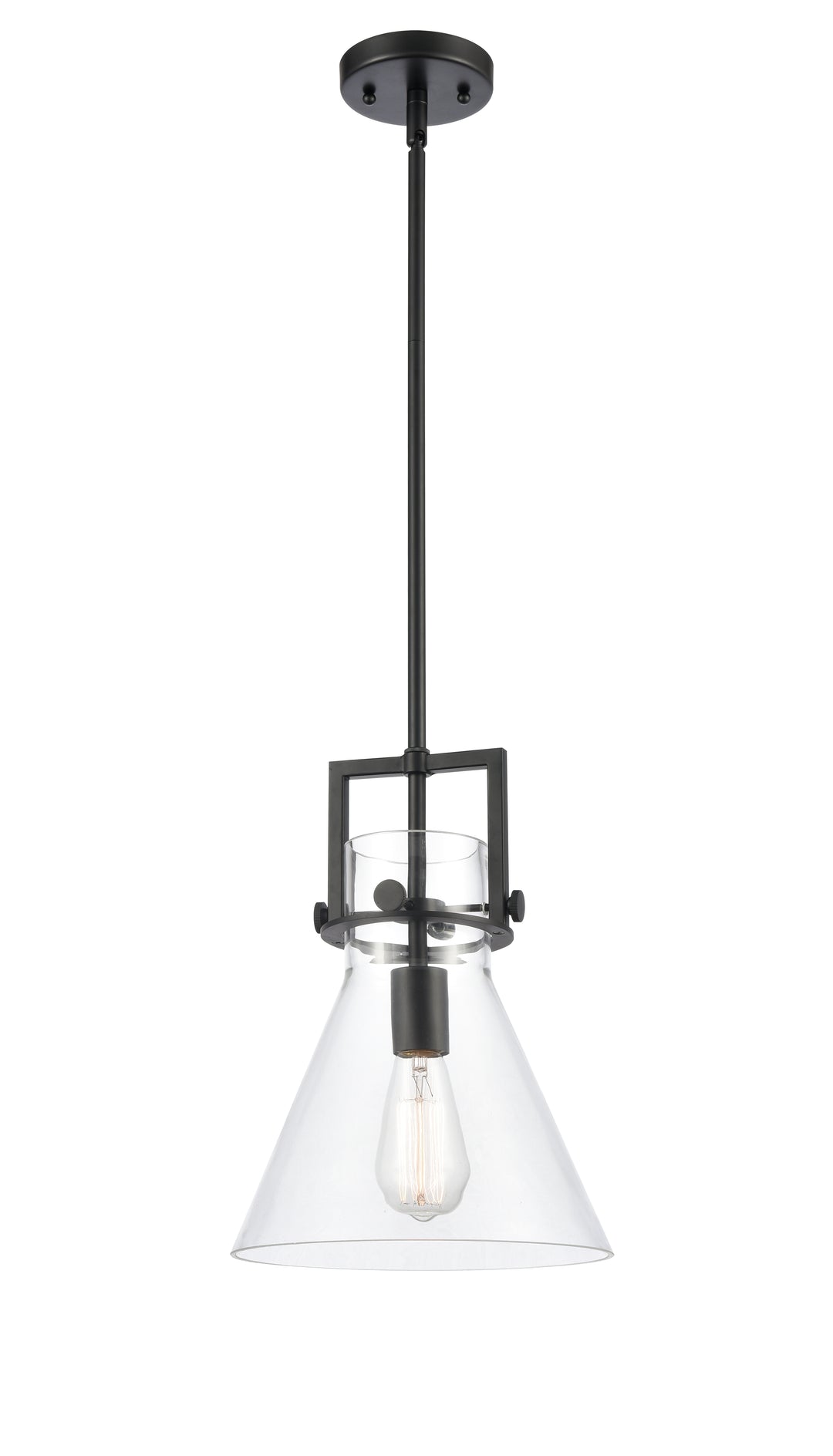 Innovations Lighting Newton Cone 10" Mini Pendant - Matte Black Mini-Pendants Innovations Lighting Clear ; Glass Type: Clear  