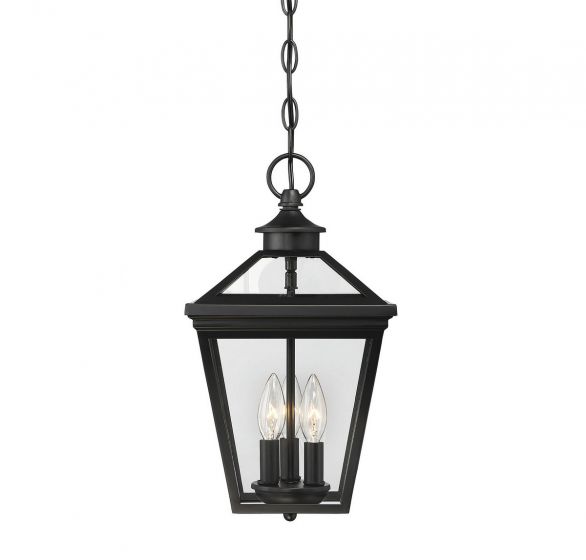 Savoy House Ellijay Outdoor | Hanging Lantern