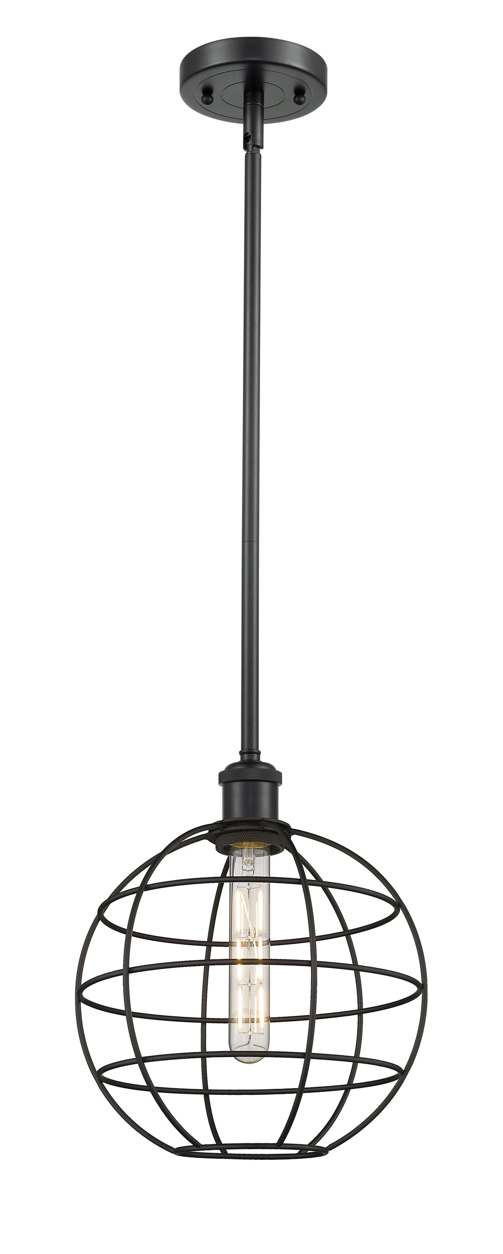 Innovations Lighting Lake Placid 10" Mini Pendant - Matte Black Mini-Pendants Innovations Lighting Default Title  