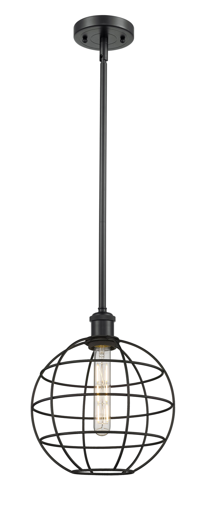 Innovations Lighting Lake Placid 10" Mini Pendant - Matte Black Mini-Pendants Innovations Lighting Default Title  