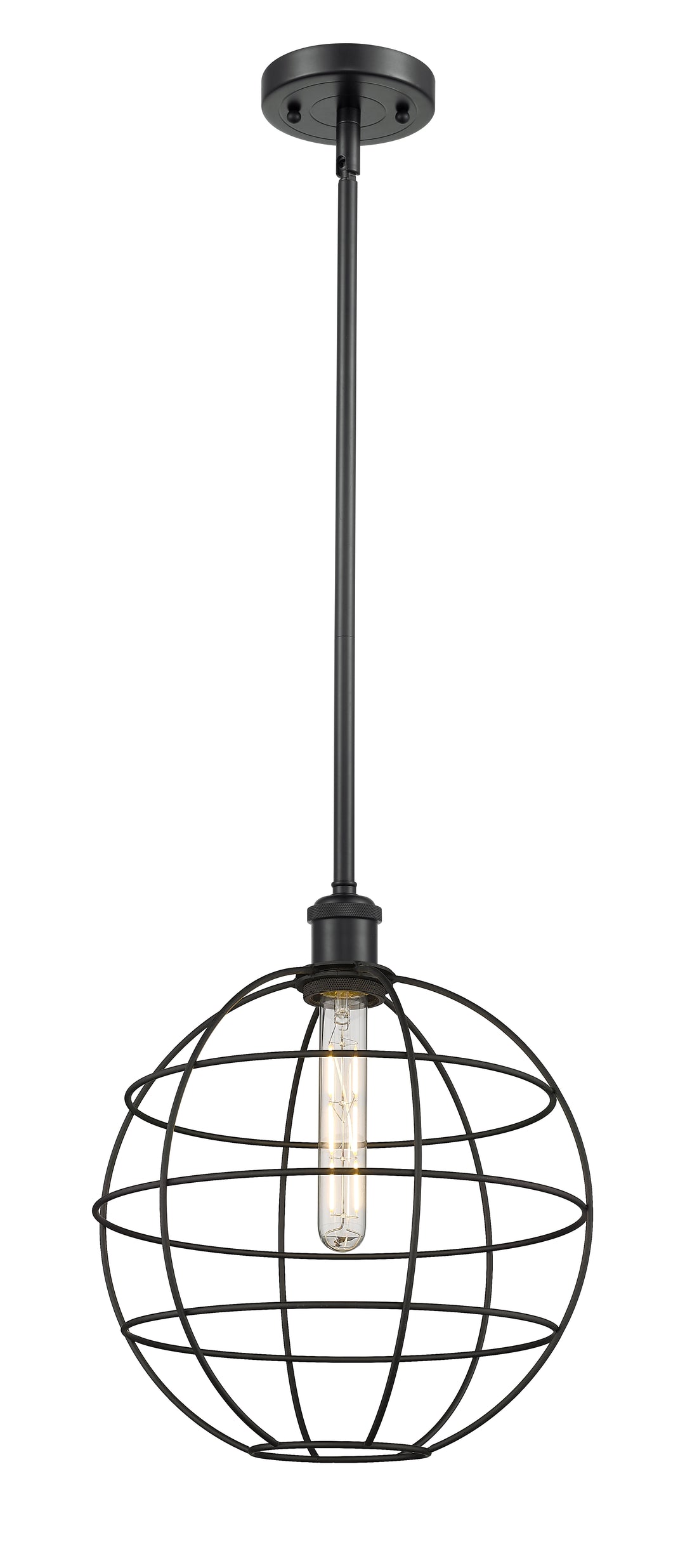 Innovations Lighting Lake Placid 12" Mini Pendant - Matte Black Mini-Pendants Innovations Lighting Default Title  