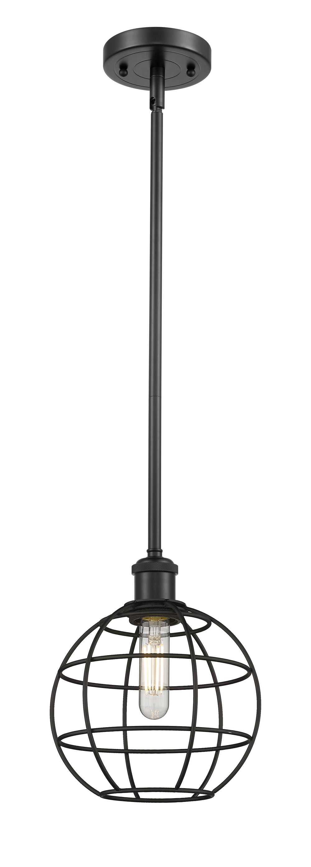 Innovations Lighting Lake Placid 8" Mini Pendant - Matte Black Mini-Pendants Innovations Lighting Default Title  