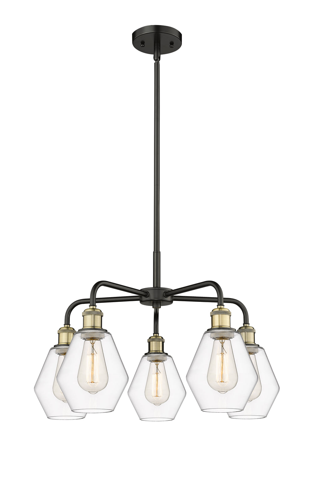 Innovations Lighting Cindyrella 6" Chandelier - Black Antique Brass Chandeliers Innovations Lighting Clear ; Glass Type: Clear  