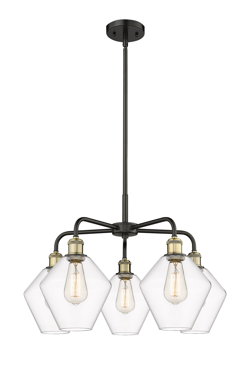 Innovations Lighting Cindyrella 8" Chandelier - Black Antique Brass Chandeliers Innovations Lighting Clear ; Glass Type: Clear  