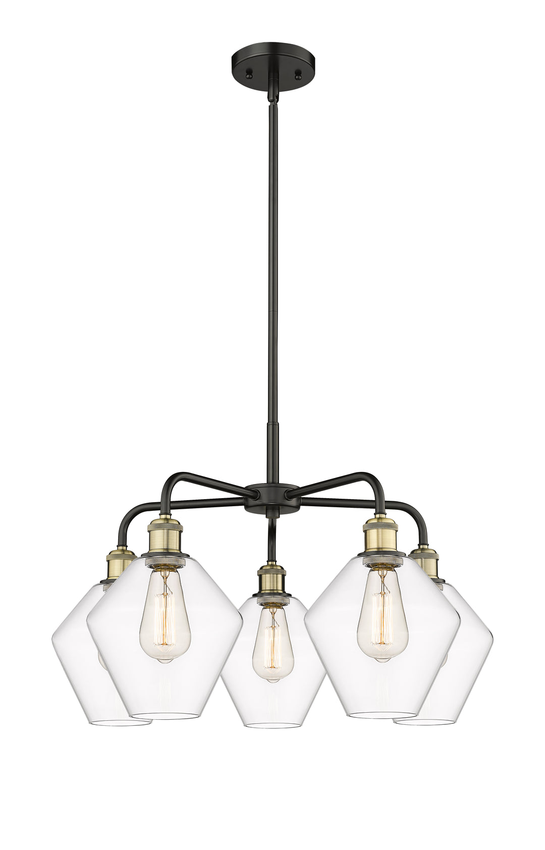 Innovations Lighting Cindyrella 8" Chandelier - Black Antique Brass Chandeliers Innovations Lighting Clear ; Glass Type: Clear  