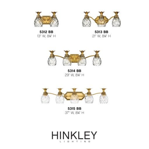 Hinkley Plantation Single Light Vanity 5310 | Overstock Vanity Lights Hinkley   