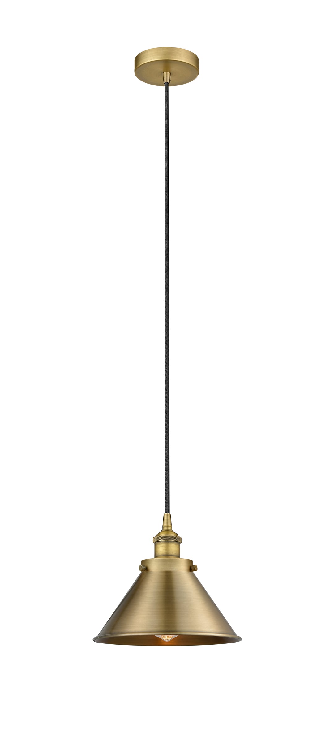 Innovations Lighting Edison 10" Mini Pendant - Brushed Brass