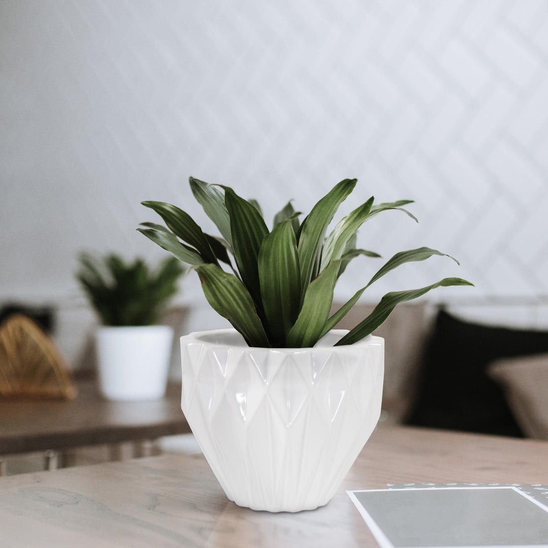 Howard Elliott Collection White Geometric Earnware Pot, Small Decorative Accents Howard Elliott Collection   