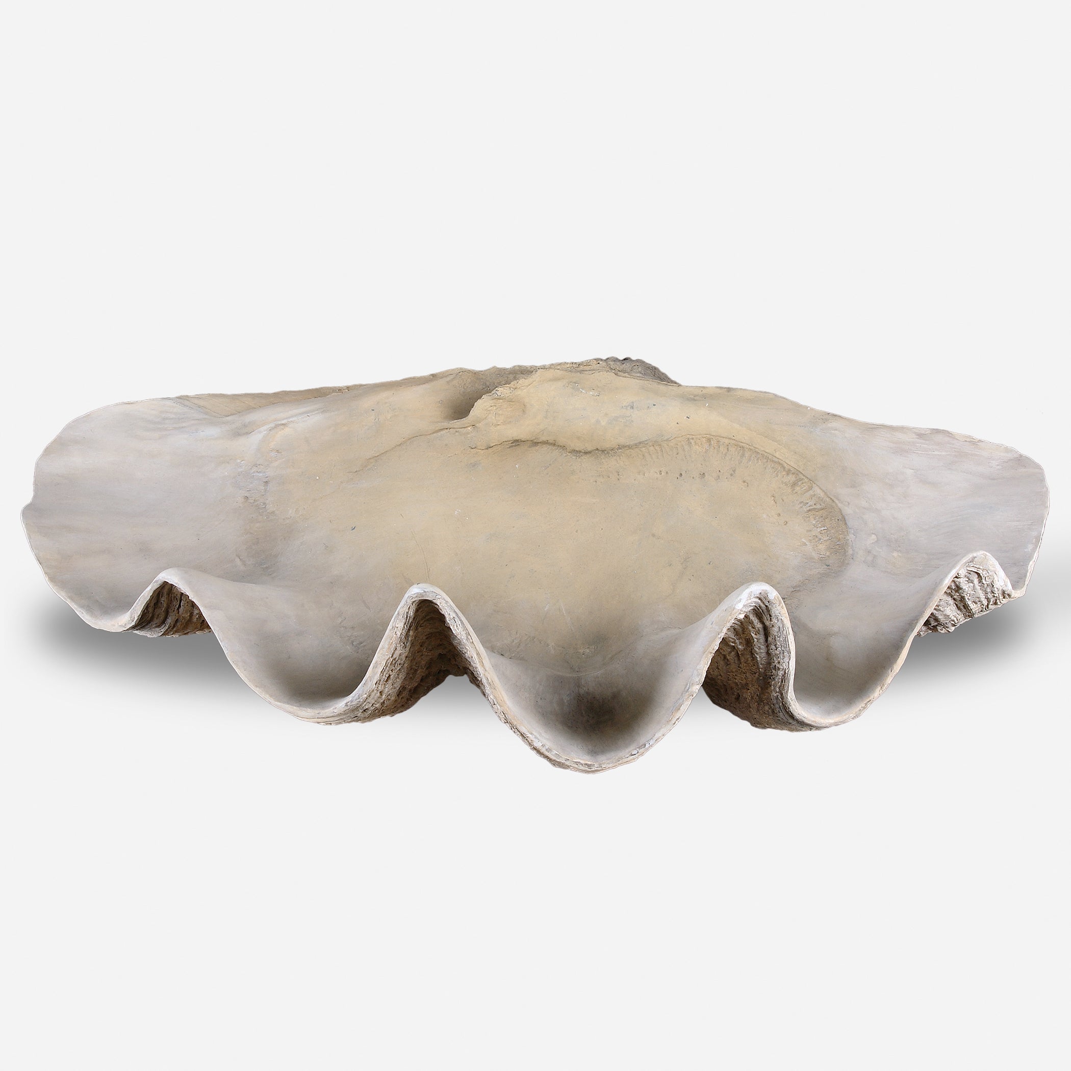 Uttermost Clam Decorative Bowls & Trays