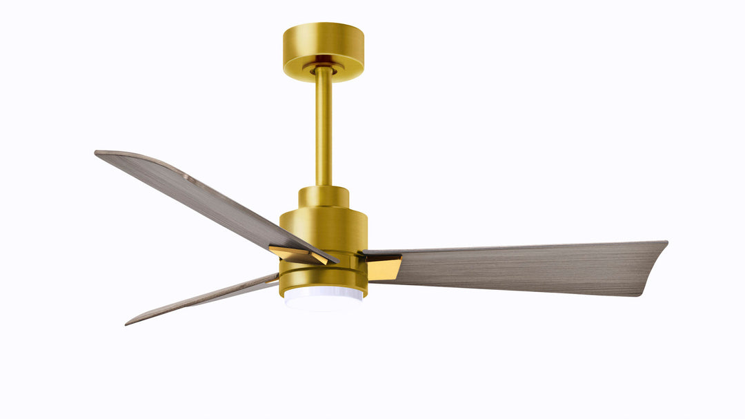 Matthews Fan Company Alessandra - 42" Indoor Ceiling Fans Matthews Fan Company Brushed Brass Gray Ash Yes