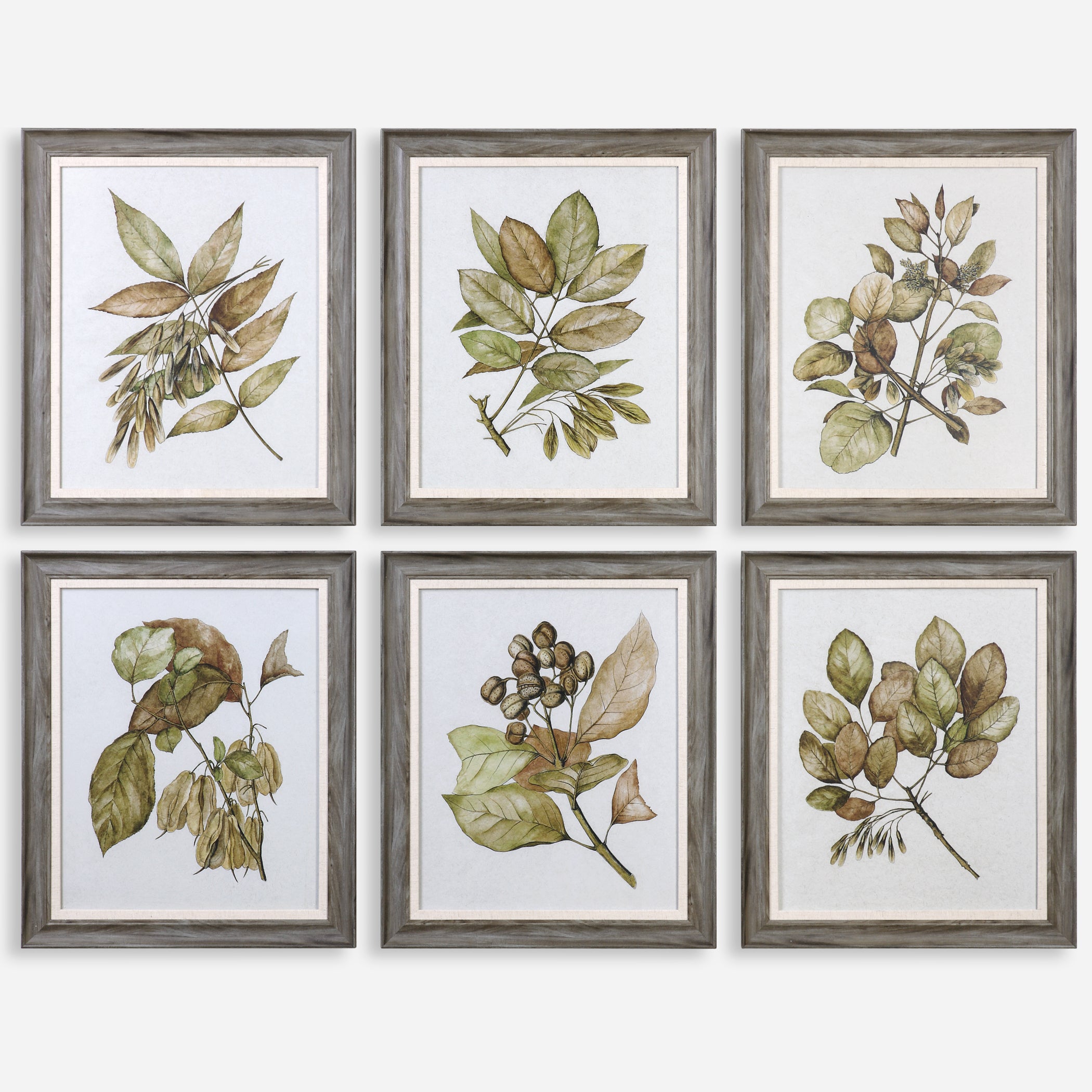 Uttermost Seedlings Framed Prints Framed Prints Uttermost   