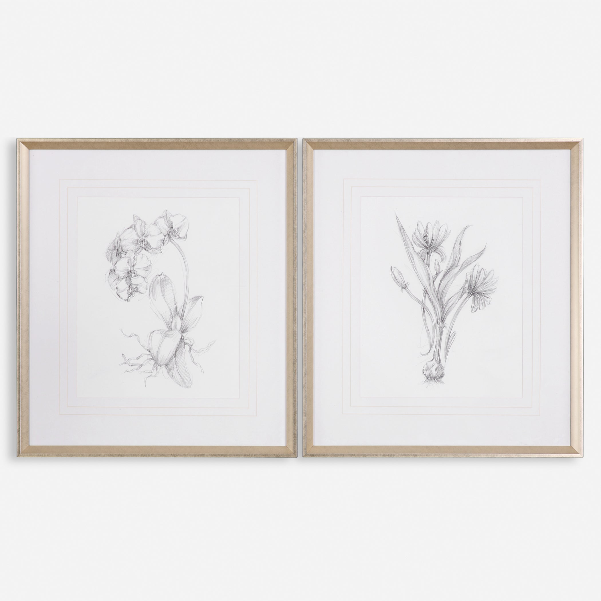 Uttermost Botanical Sketches Floral Prints Floral Prints Uttermost   