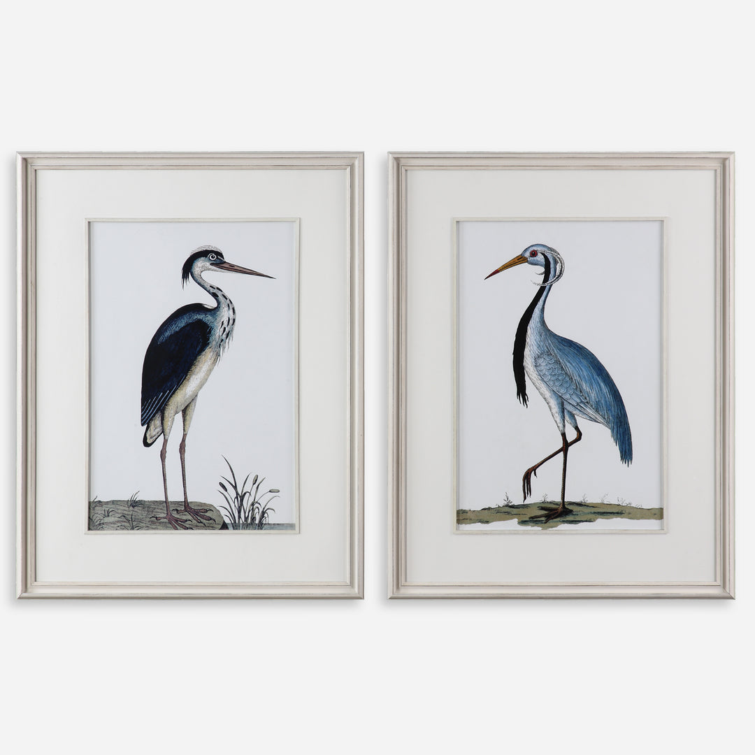 Uttermost Shore Birds Framed Bird Prints