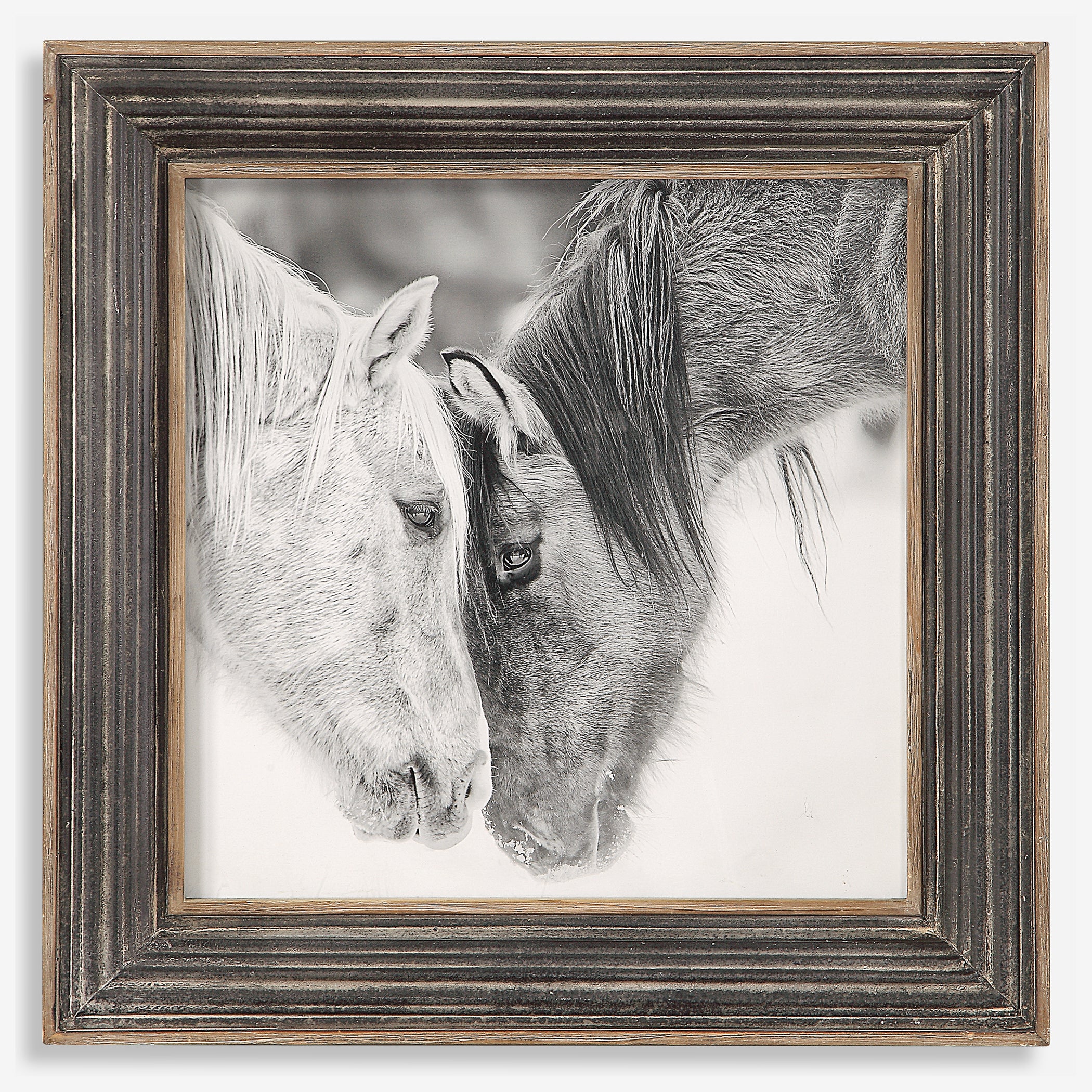 Uttermost Custom Black And White Horses Horse Prints Horse Prints Uttermost   