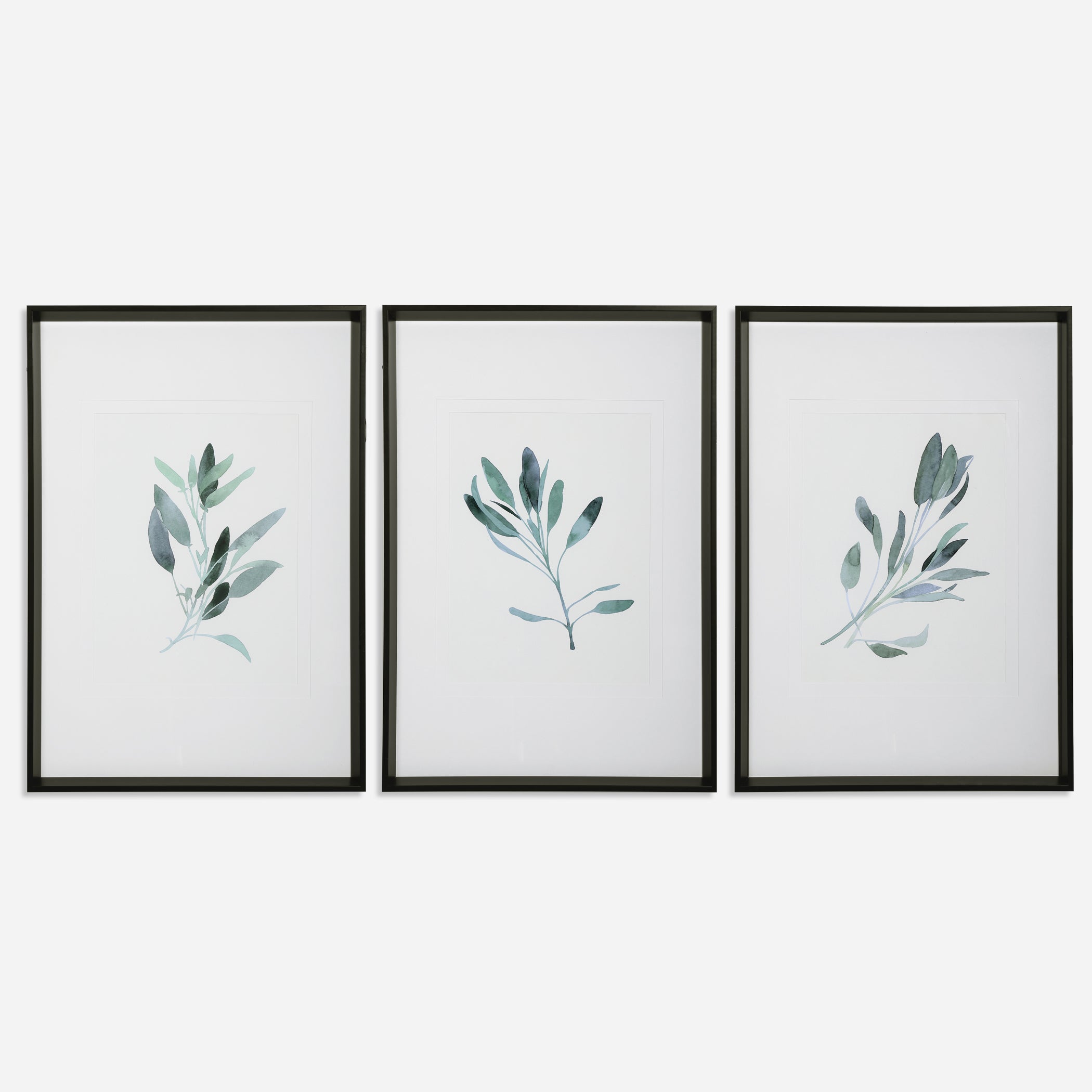 Uttermost Simple Sage Botanical Prints Botanical Prints Uttermost   