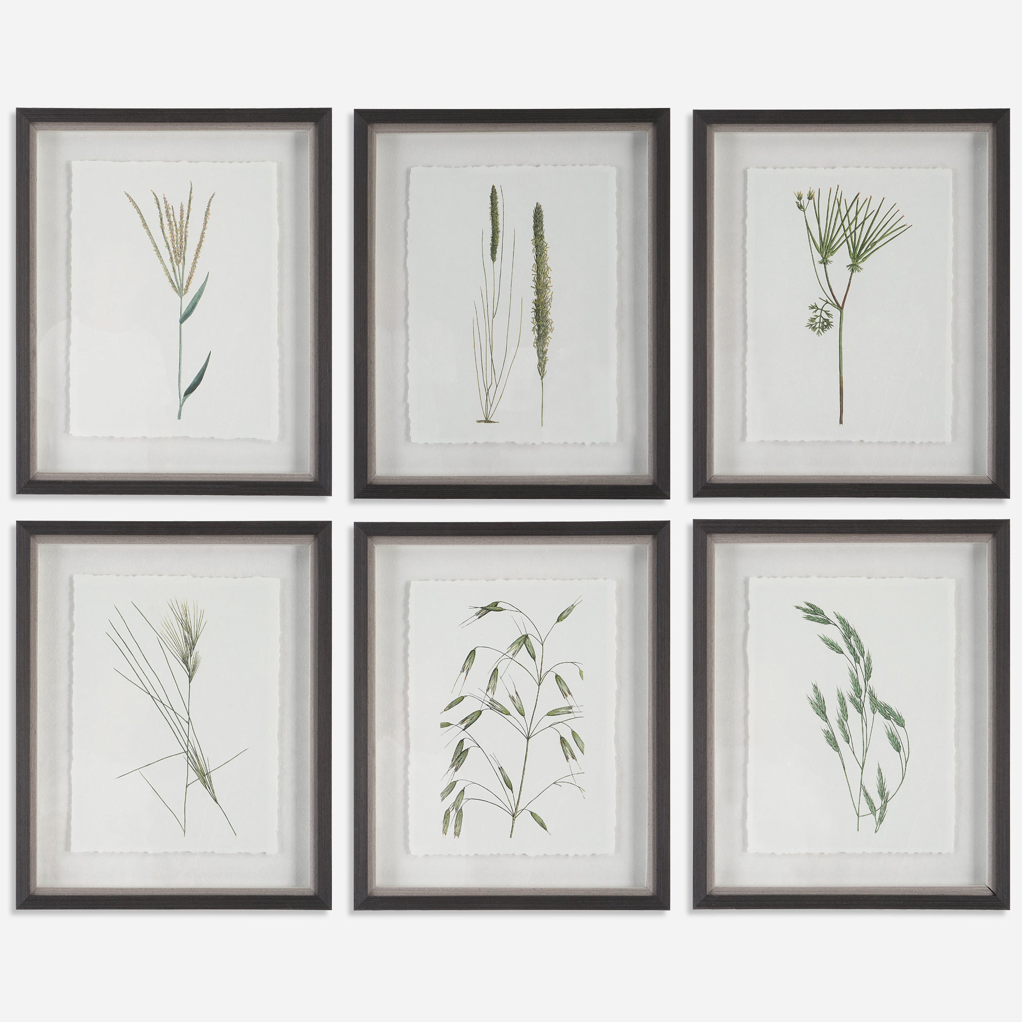 Uttermost Forest Finds Botanical Prints