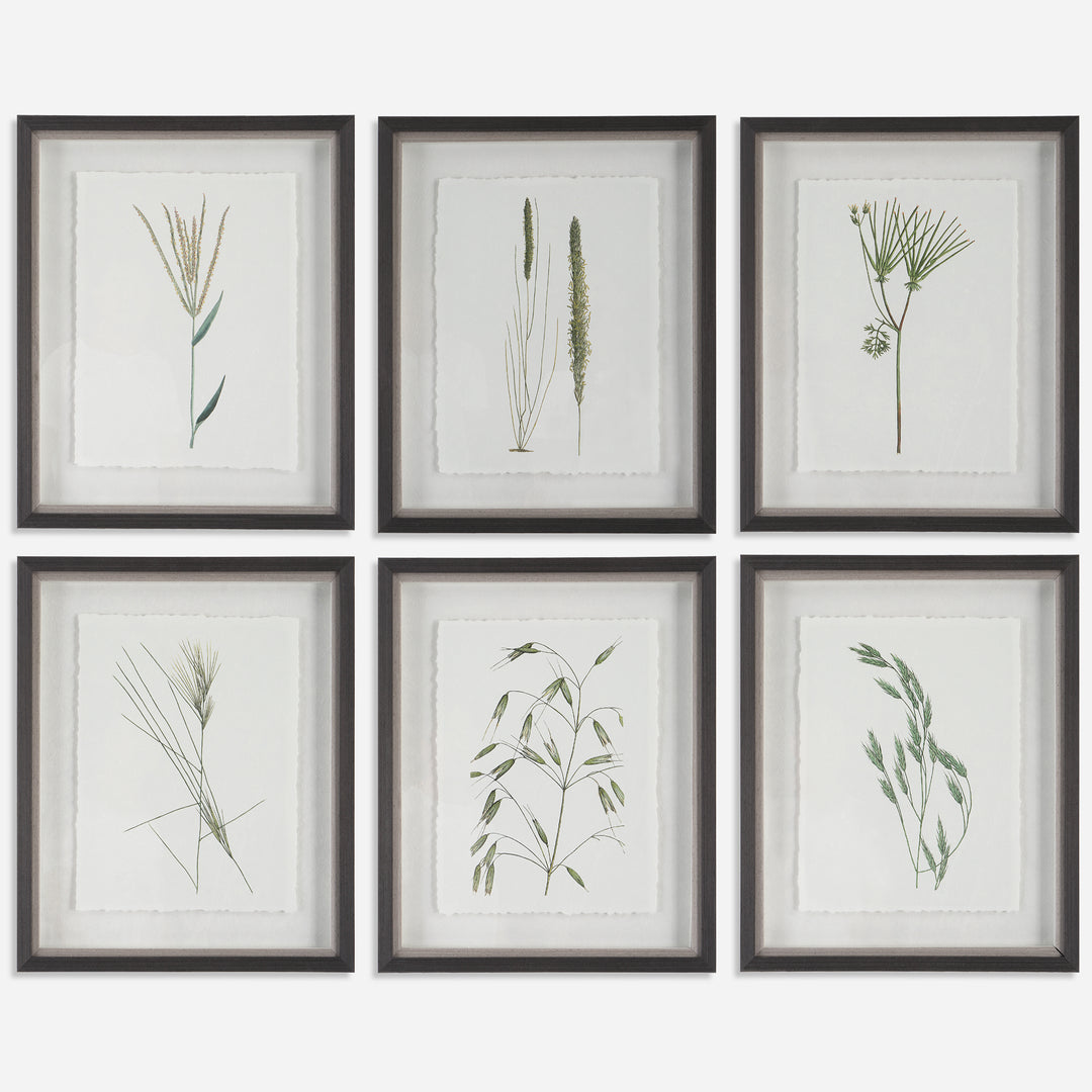 Uttermost Forest Finds Botanical Prints