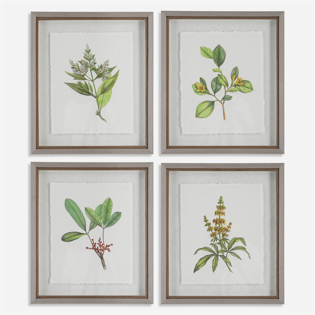 Uttermost Wildflower Study Leaf / Floral Art