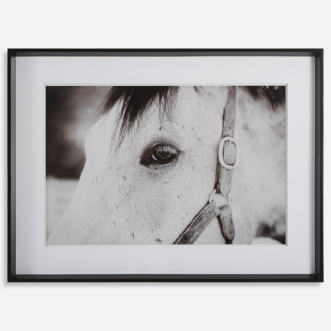 Uttermost Eye Of The Beholder Horse Prints