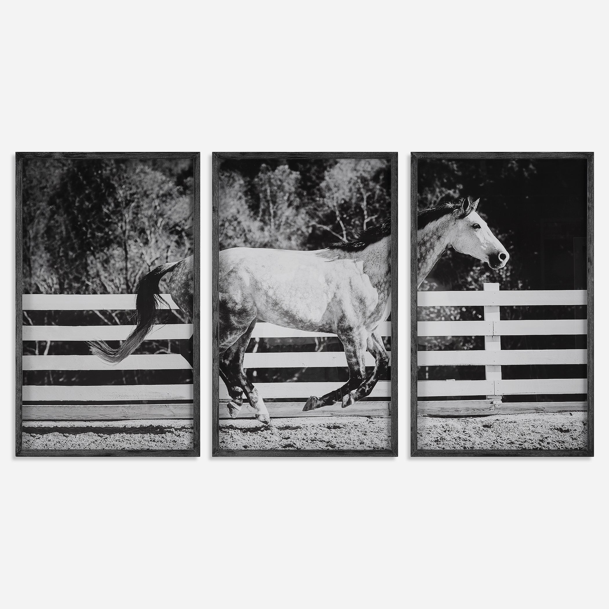 Uttermost Galloping Forward Framed Prints Framed Prints Uttermost   