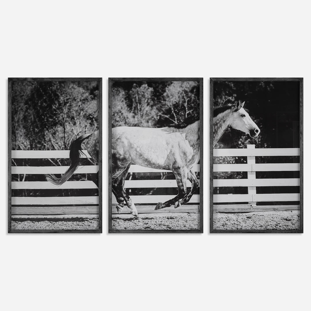 Uttermost Galloping Forward Framed Prints