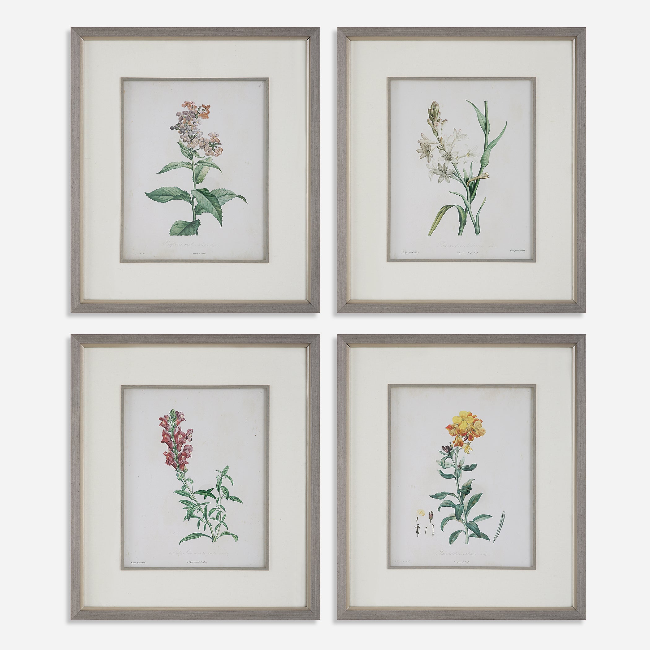 Uttermost Heirloom Blooms Botanical Prints