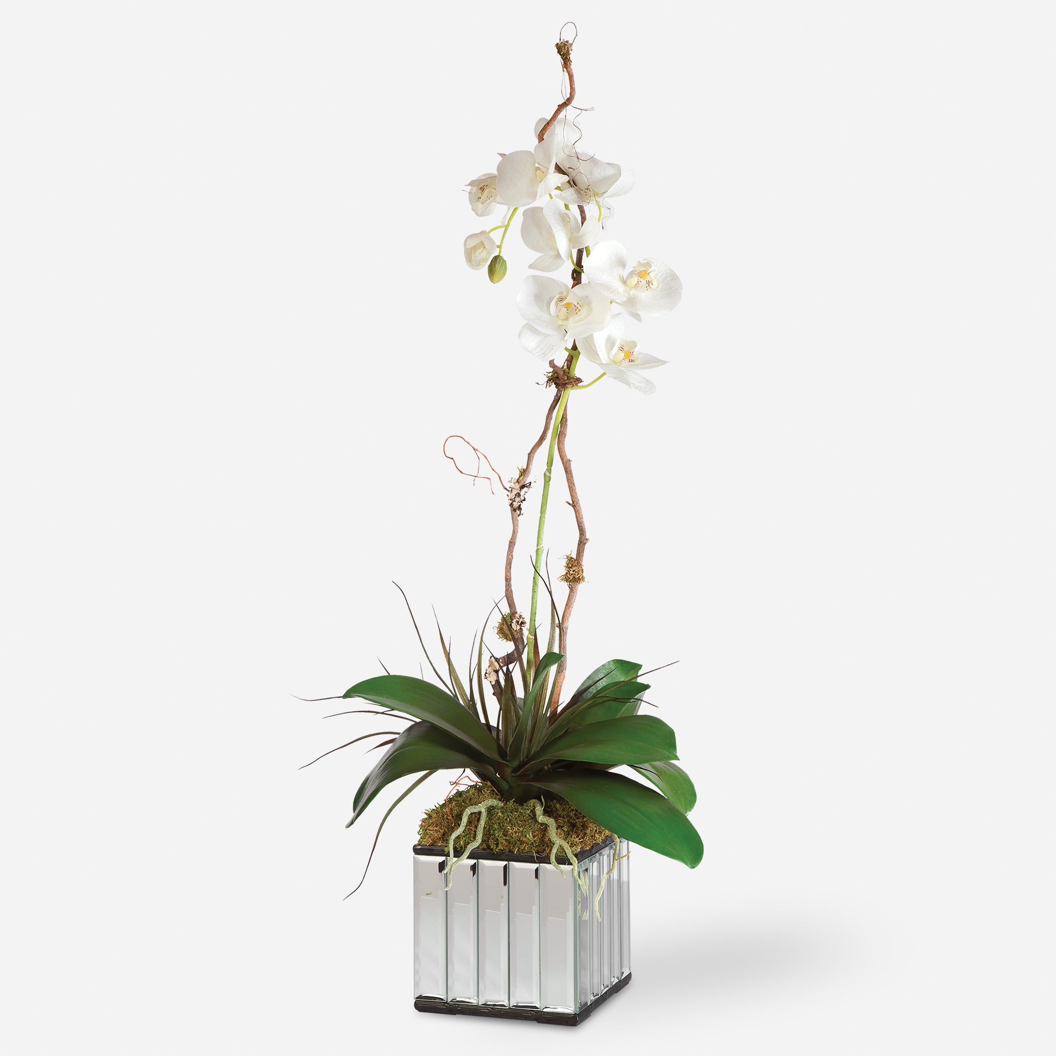 Uttermost Kaleama Orchids Botanicals