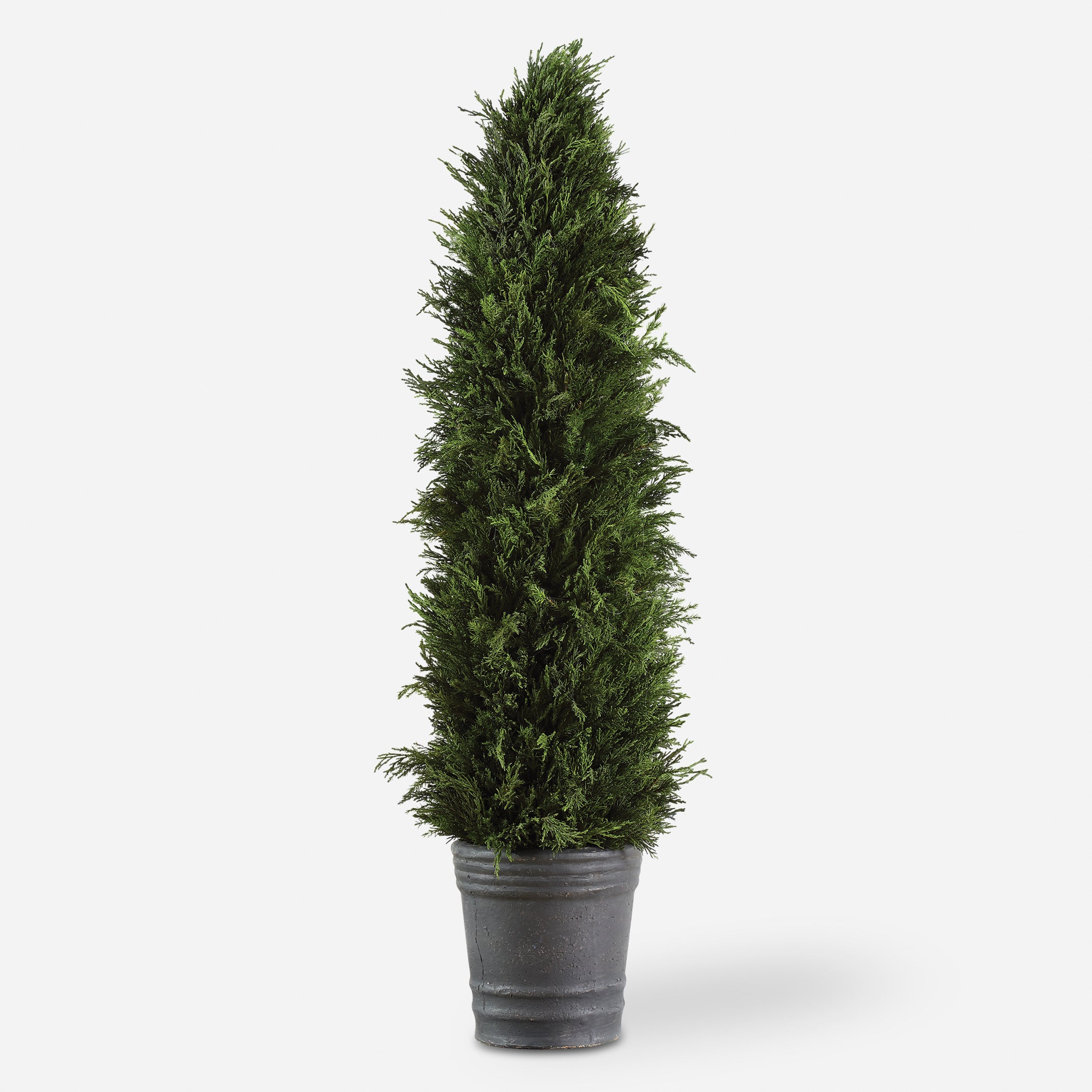 Uttermost Cypress Cone Trees-Greenery Trees-Greenery Uttermost   