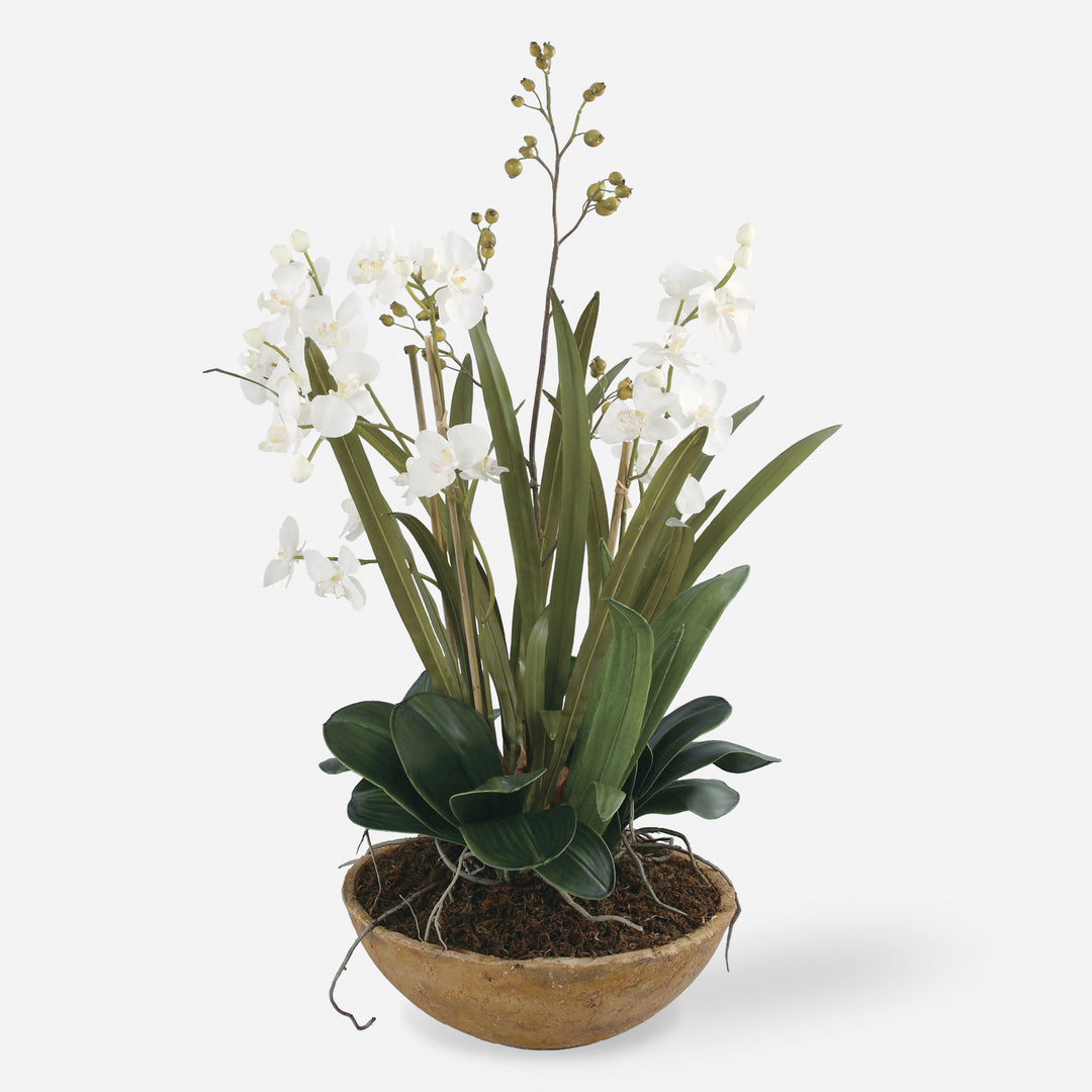 Uttermost Moth Orchid Florals