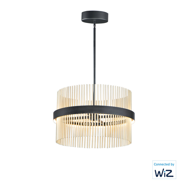 Chimes WiZ-Single Pendant Pendants ET2 23.75x23.75x15 Black / Satin Brass 