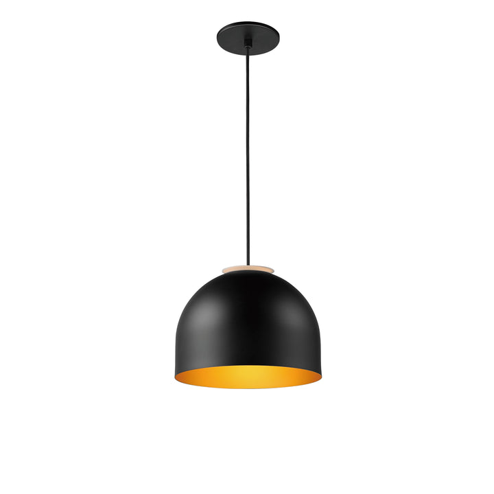 Foster-Mini Pendant Mini-Pendants ET2 9.75x9.75x7.25 Black / Gold 