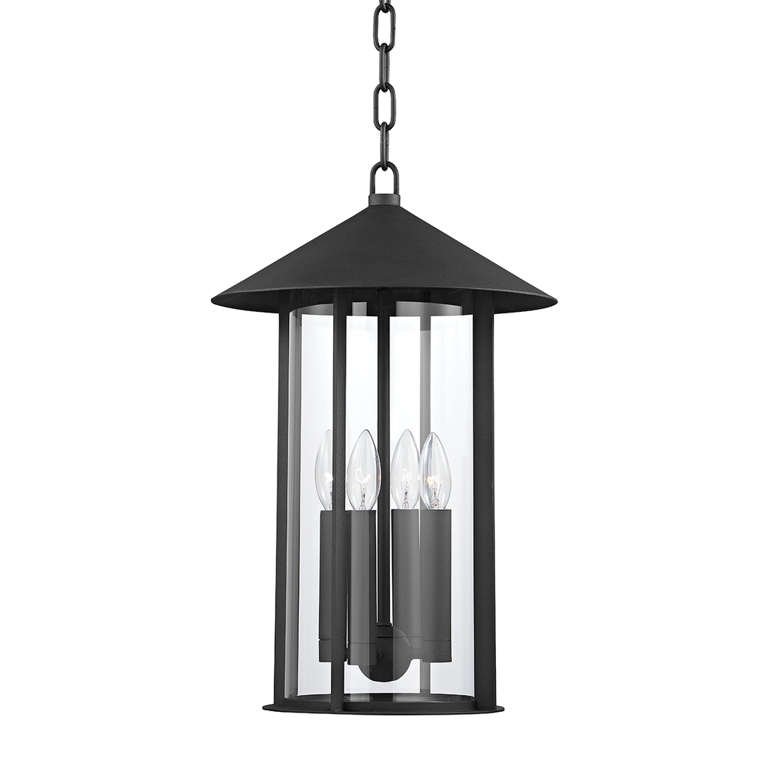 Troy Lighting Long Beach Lantern