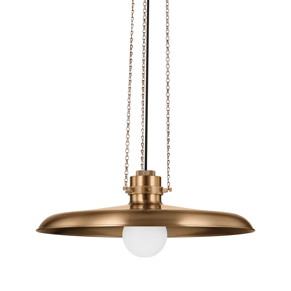 Troy Lighting Rainhill Pendant Pendants Troy Lighting PATINA BRASS 24x24x9 