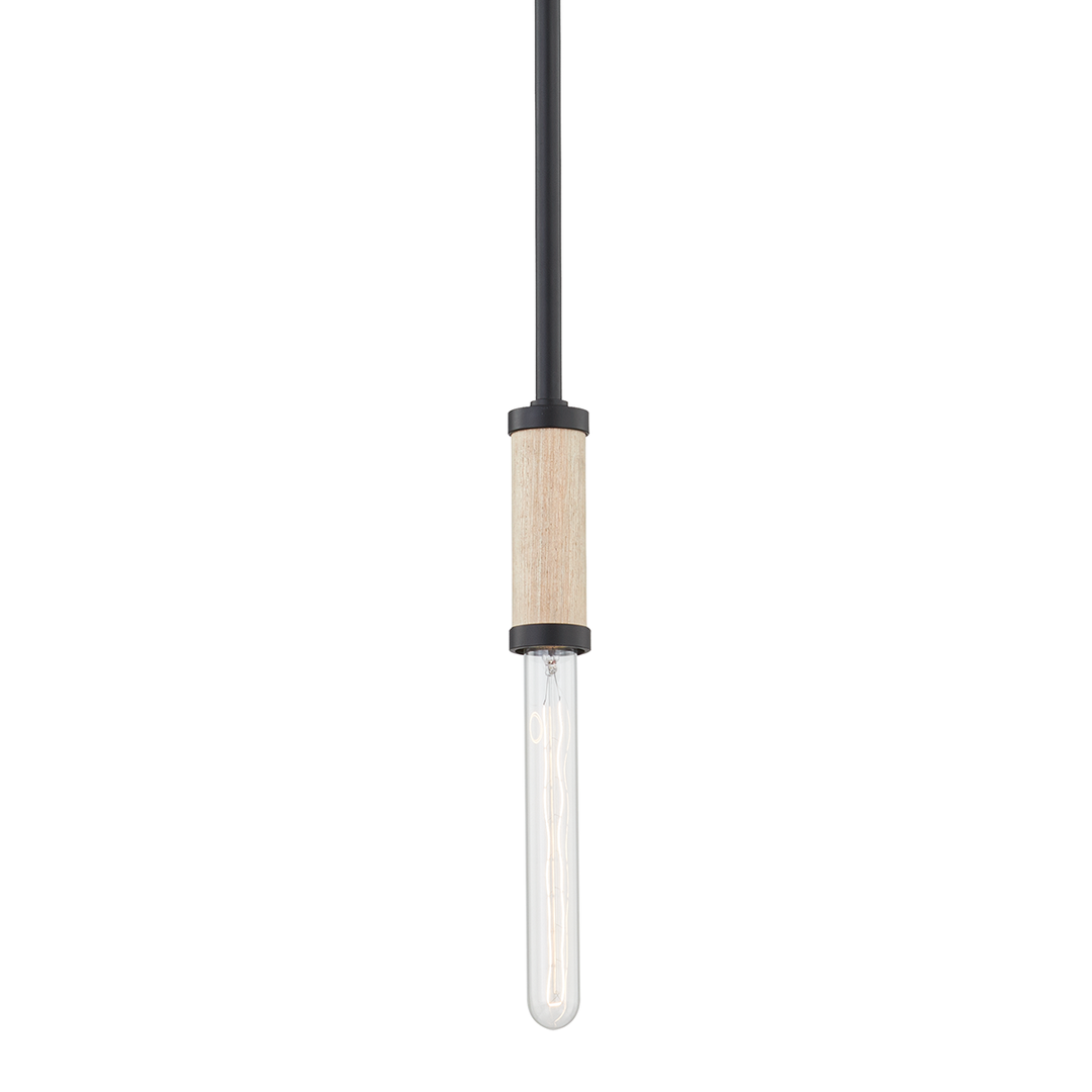 Troy Lighting Cruiz Pendant