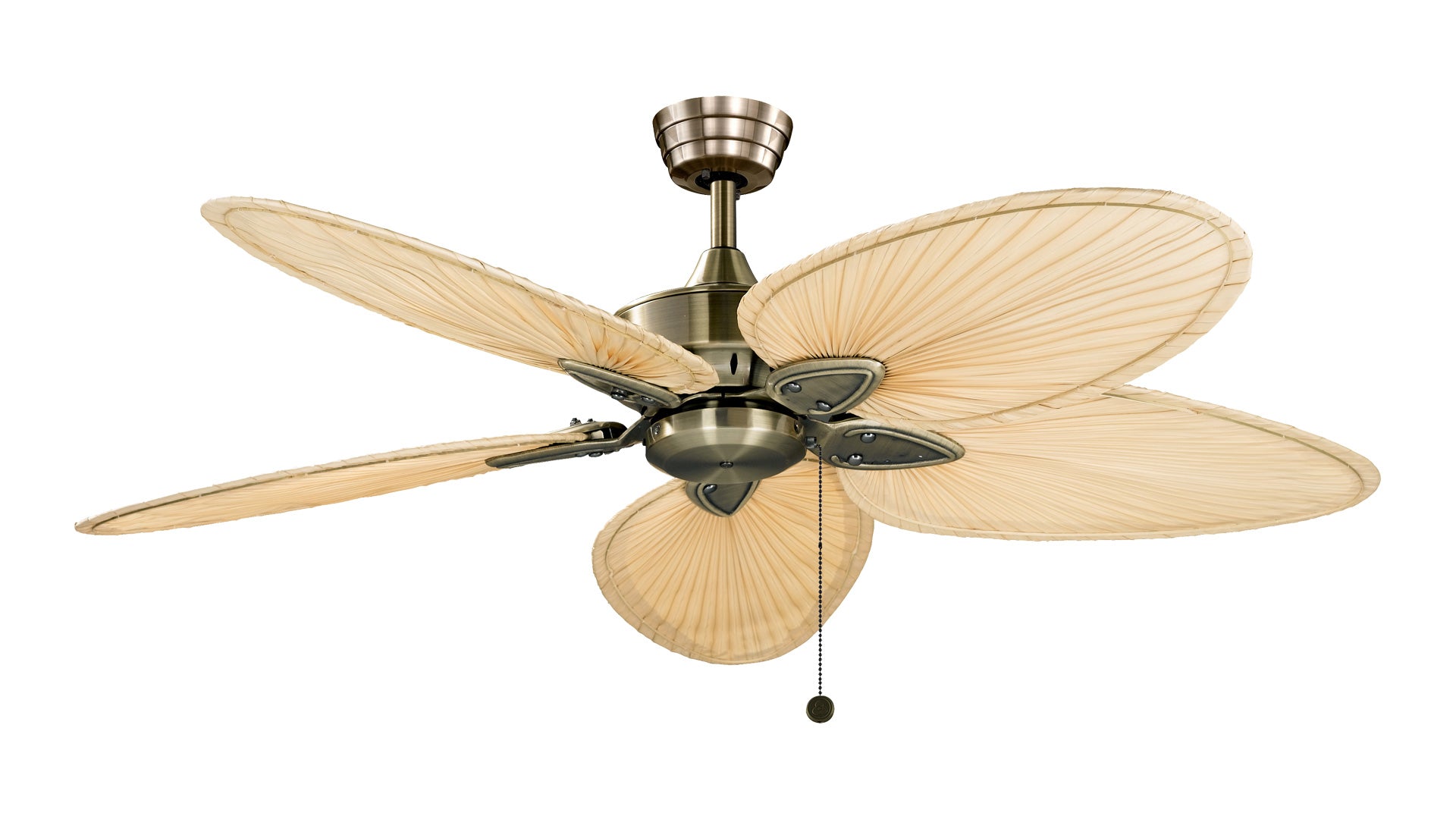 Fanimation Windpointe Fan Fanimation   