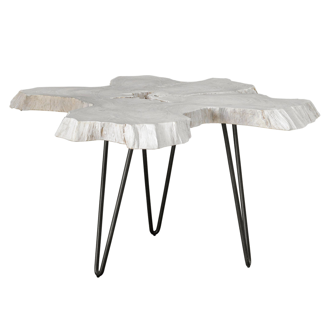 Uttermost Trillium Cocktail & Coffee Tables Console Tables Uttermost   