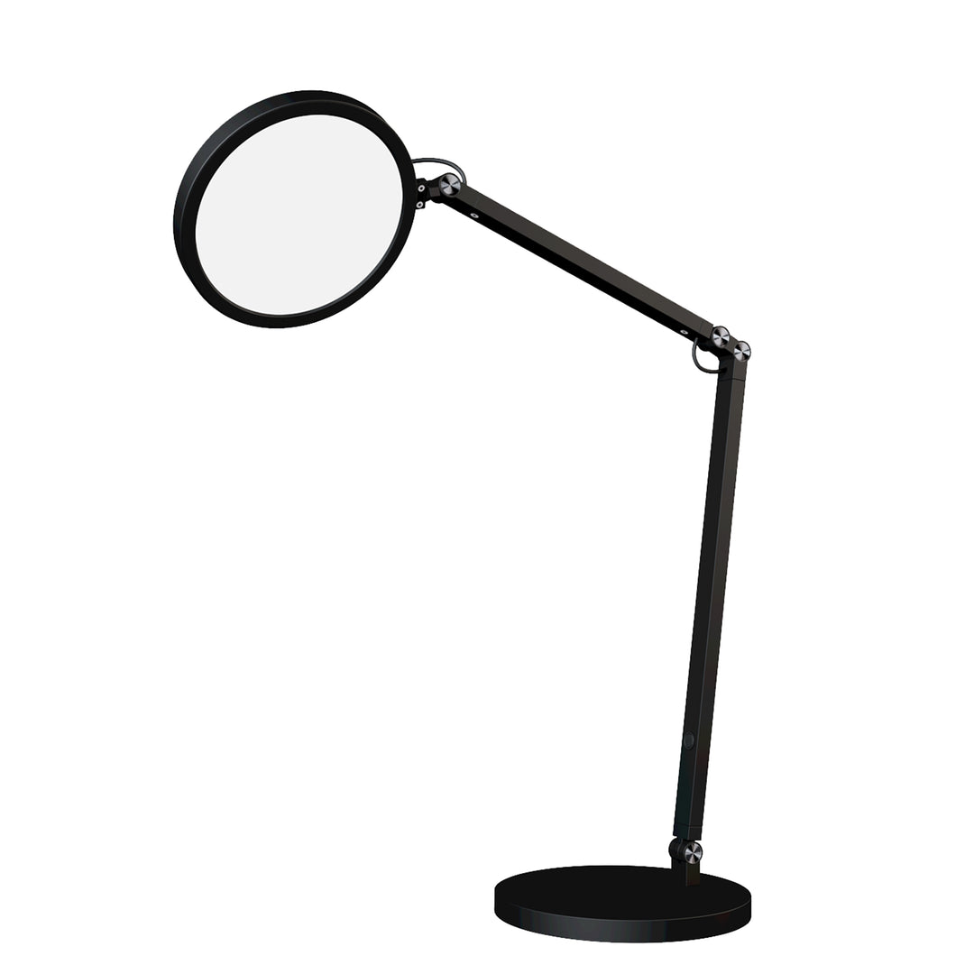 Blackjack Lighting Flexi Lamp Table Lamps Blackjack Lighting 24" Black 