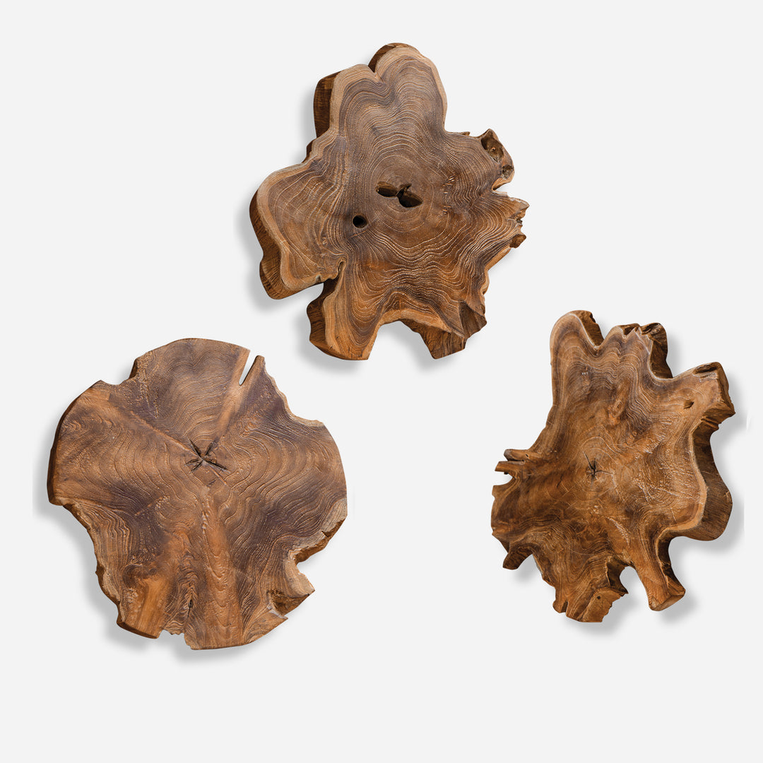 Uttermost Kalani Teak Wall Art