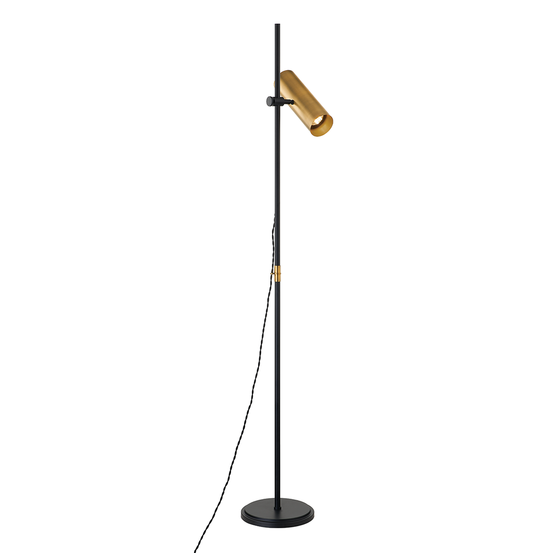 Troy Lighting QUINN Floor Lamp Floor Lamps Troy Lighting PATINA BRASS 9.75x10.75x65 