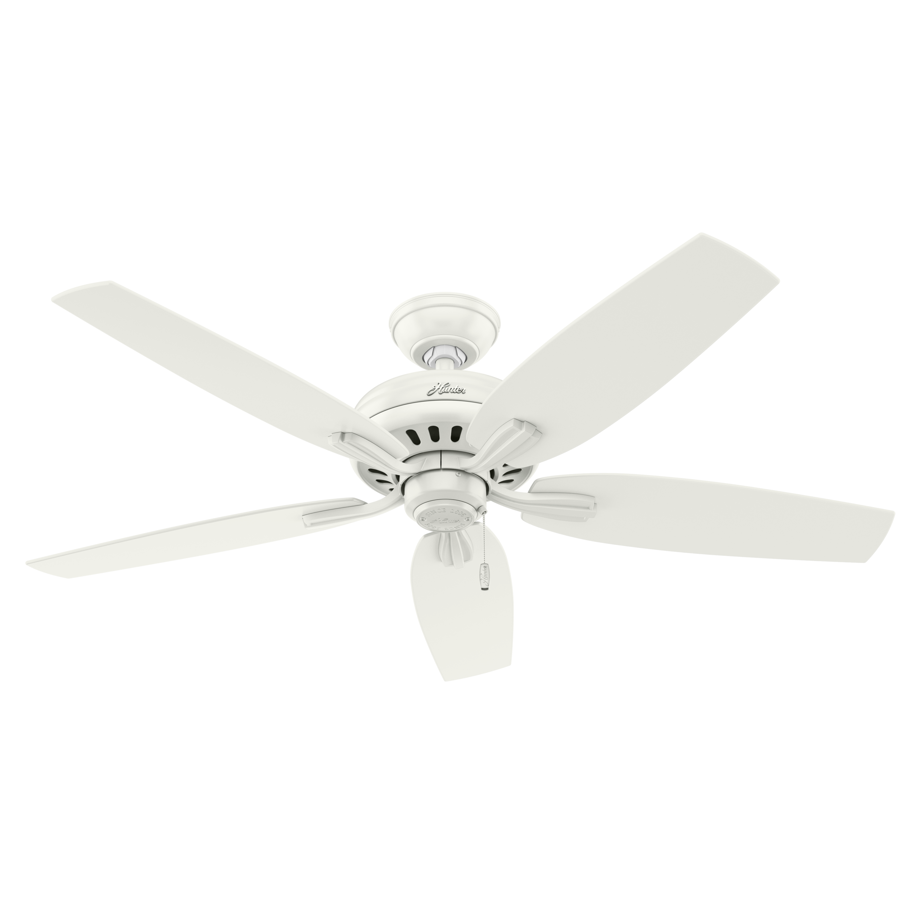 Hunter 52 inch Newsome Ceiling Fan