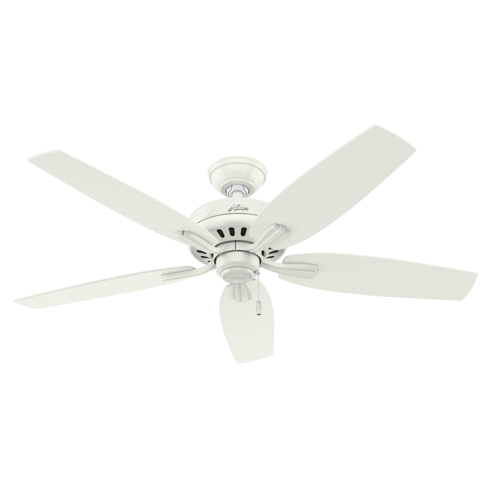 Hunter 52 inch Newsome Ceiling Fan