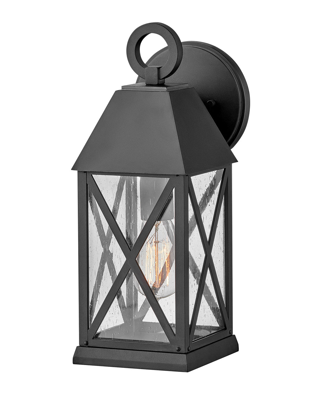 OUTDOOR BRIAR Wall Mount Lantern